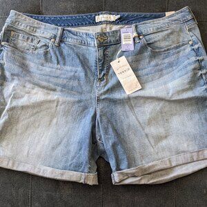 NWT torrid Jean Shorts Plus Size 26 Denim Light Wash - 5 inch Inseam